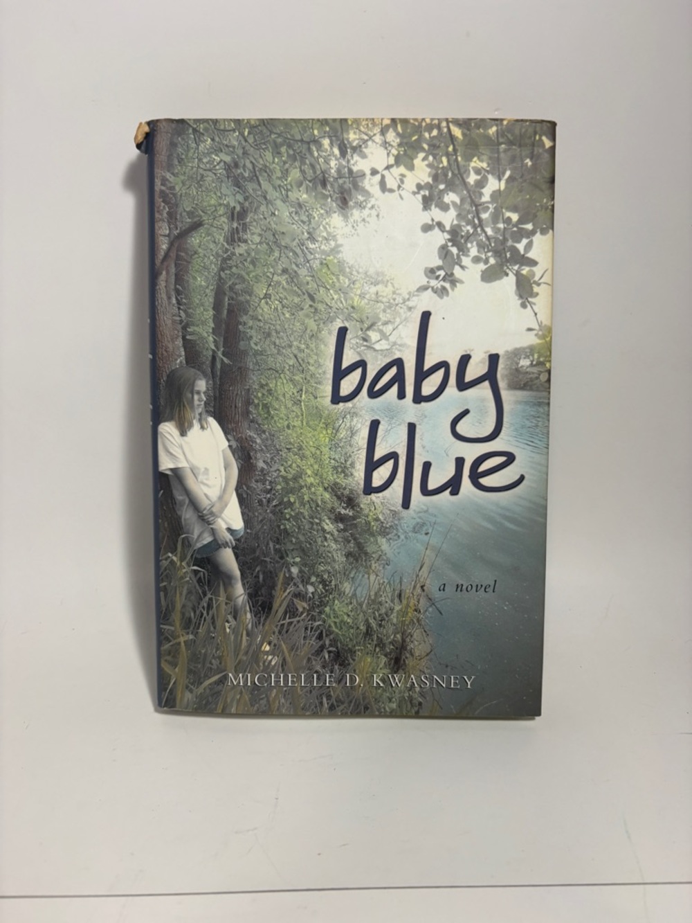 Baby Blue by Michelle D. Kwasney - Soft Blue Cover Novel